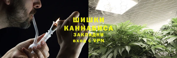 PSILOCYBIN Остров